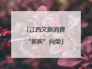 江西文旅消费“新新”向荣