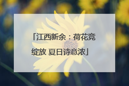 江西新余：荷花竞绽放 夏日诗意浓
