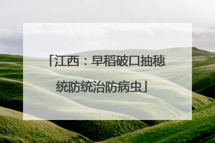 江西：早稻破口抽穗 统防统治防病虫