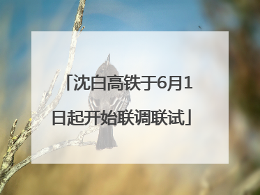 沈白高铁于6月1日起开始联调联试