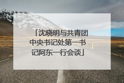沈晓明与共青团中央书记处第一书记阿东一行会谈