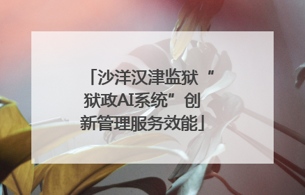 沙洋汉津监狱“狱政AI系统”创新管理服务效能