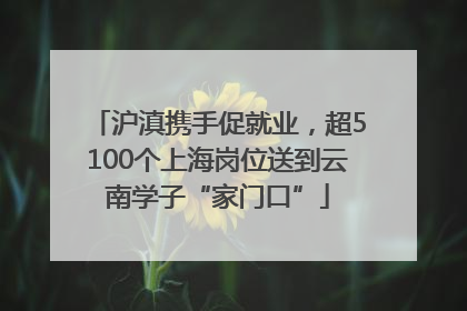 沪滇携手促就业，超5100个上海岗位送到云南学子“家门口”