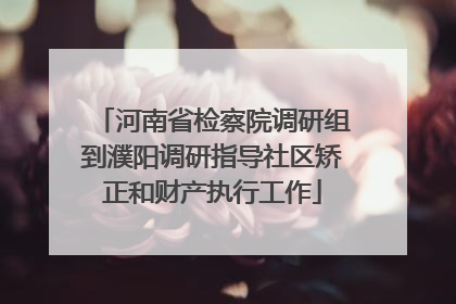 河南省检察院调研组到濮阳调研指导社区矫正和财产执行工作