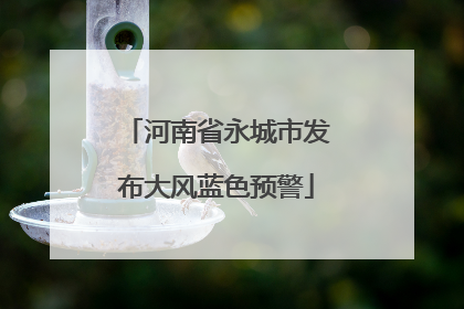 河南省永城市发布大风蓝色预警