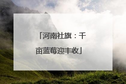 河南社旗：千亩蓝莓迎丰收