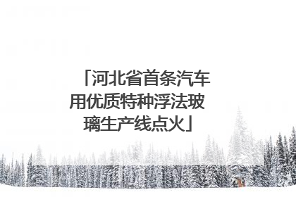 河北省首条汽车用优质特种浮法玻璃生产线点火