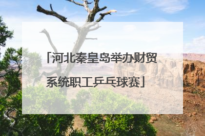 河北秦皇岛举办财贸系统职工乒乓球赛