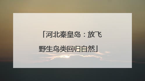 河北秦皇岛：放飞野生鸟类回归自然