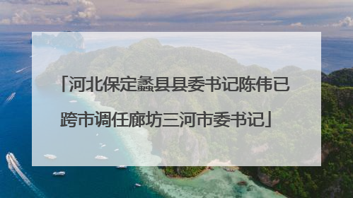 河北保定蠡县县委书记陈伟已跨市调任廊坊三河市委书记