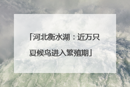 河北衡水湖：近万只夏候鸟进入繁殖期