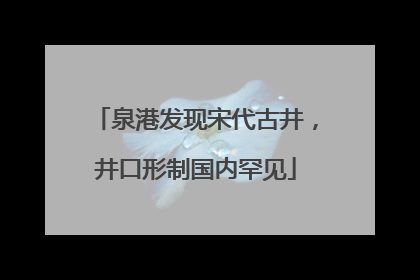 泉港发现宋代古井，井口形制国内罕见