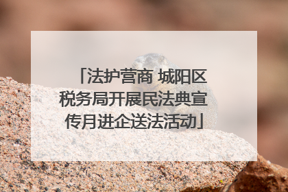 法护营商 城阳区税务局开展民法典宣传月进企送法活动