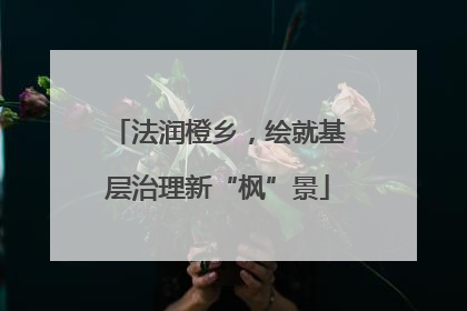 法润橙乡，绘就基层治理新“枫”景