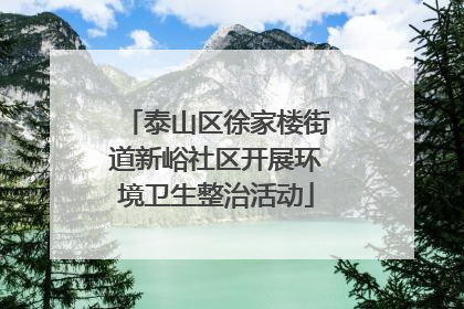 泰山区徐家楼街道新峪社区开展环境卫生整治活动
