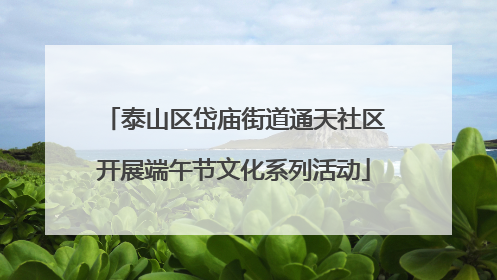 泰山区岱庙街道通天社区开展端午节文化系列活动
