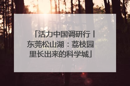 活力中国调研行丨东莞松山湖：荔枝园里长出来的科学城
