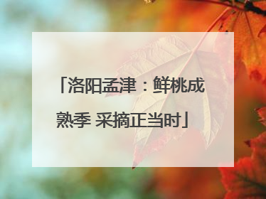 洛阳孟津：鲜桃成熟季 采摘正当时