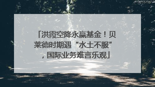 洪霞空降永赢基金！贝莱德时期遇“水土不服”，国际业务难言乐观