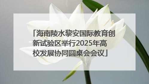 海南陵水黎安国际教育创新试验区举行2025年高校发展协同圆桌会会议