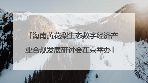 海南黄花梨生态数字经济产业合规发展研讨会在京举办