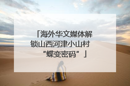 海外华文媒体解锁山西河津小山村“蝶变密码”