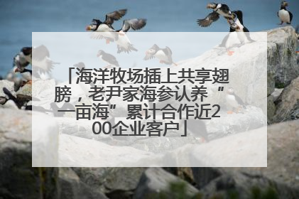 海洋牧场插上共享翅膀，老尹家海参认养“一亩海”累计合作近200企业客户