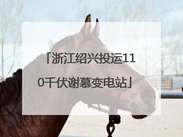 浙江绍兴投运110千伏谢慕变电站