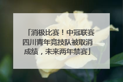 消极比赛！中冠联赛四川青年竞技队被取消成绩，未来两年禁赛