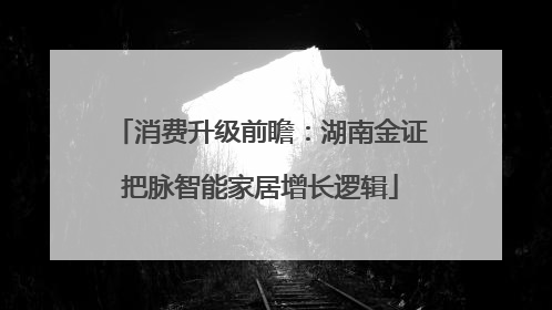 消费升级前瞻：湖南金证把脉智能家居增长逻辑