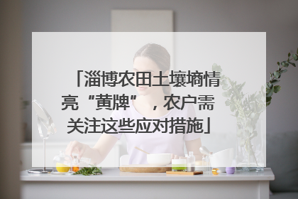 淄博农田土壤墒情亮“黄牌”，农户需关注这些应对措施