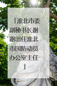 淮北市委副秘书长谢谢出任淮北市国防动员办公室主任