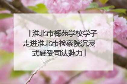 淮北市梅苑学校学子走进淮北市检察院沉浸式感受司法魅力