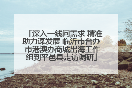 深入一线问需求 精准助力谋发展 临沂市台办 市港澳办商城出海工作组到平邑县走访调研