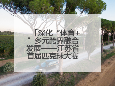 深化“体育+”多元跨界融合发展——江苏省首届匹克球大赛在无锡开赛