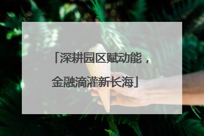深耕园区赋动能，金融滴灌新长海