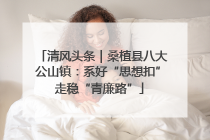 清风头条｜桑植县八大公山镇：系好“思想扣” 走稳“青廉路”