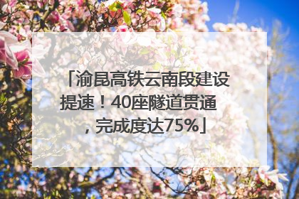 渝昆高铁云南段建设提速！40座隧道贯通，完成度达75%