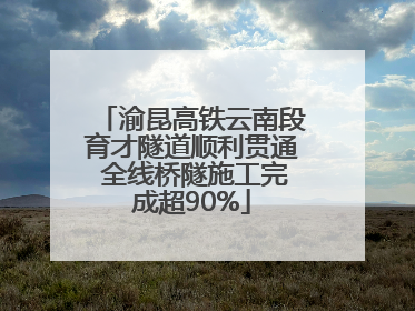 渝昆高铁云南段育才隧道顺利贯通 全线桥隧施工完成超90%