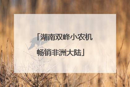 湖南双峰小农机畅销非洲大陆