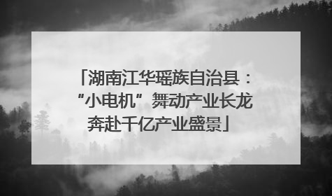 湖南江华瑶族自治县：“小电机”舞动产业长龙 奔赴千亿产业盛景