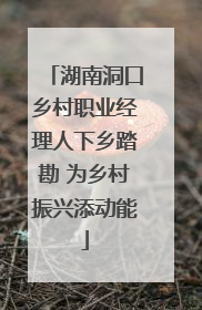 湖南洞口乡村职业经理人下乡踏勘 为乡村振兴添动能