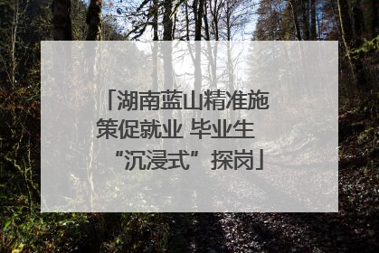 湖南蓝山精准施策促就业 毕业生“沉浸式”探岗