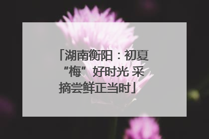 湖南衡阳：初夏“梅”好时光 采摘尝鲜正当时