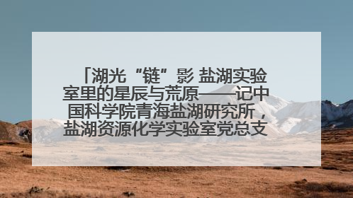 湖光“链”影 盐湖实验室里的星辰与荒原——记中国科学院青海盐湖研究所，盐湖资源化学实验室党总支书记、副主任刘忠