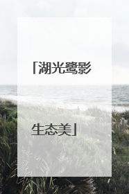 湖光鹭影生态美
