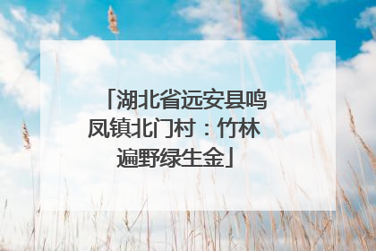 湖北省远安县鸣凤镇北门村：竹林遍野绿生金