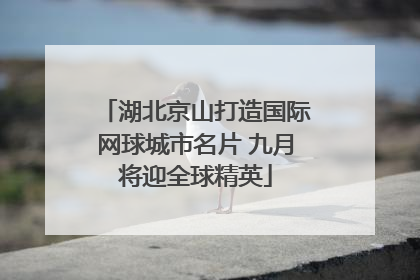 湖北京山打造国际网球城市名片 九月将迎全球精英