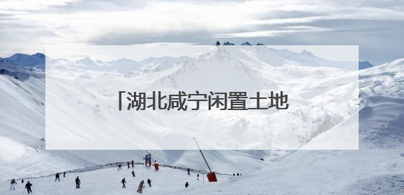 湖北咸宁闲置土地激活产业新动能