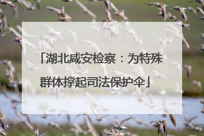 湖北咸安检察：为特殊群体撑起司法保护伞